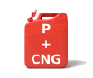 Petrol + CNG